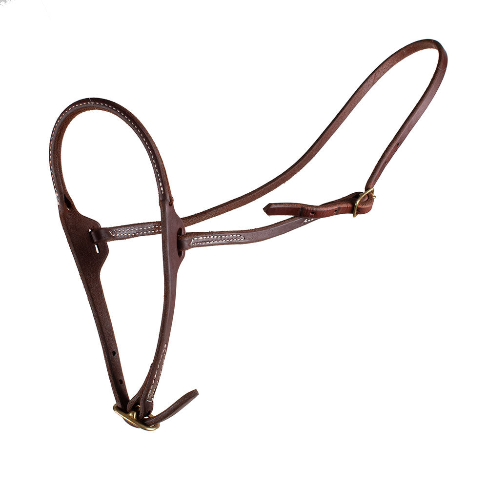 Teskey's Rolled Nose Cavesson Tack - Nosebands & Tie Downs Teskey's Heavy Oil  