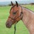 Classic Equine Premium Rope Halter Tack - Halters & Leads - Halters Classic Equine   
