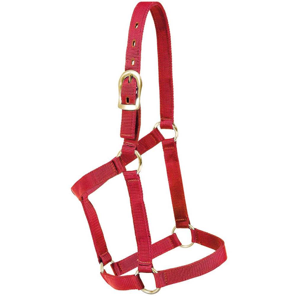 Economy Halter Tack - Halters & Leads - Halters Mustang Average Horse RED 