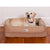 3 Dog EZ-Wash Fleece Lounger Memory Foam Dog Bed FARM & RANCH - Animal Care - Pets - Accessories - Kennels & Beds 3 Dog Pet Supply M Tan 