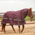Classic Equine 5K Cross Trainer Hooded Blanket Tack - Blankets & Sheets - Turnout Classic Equine   