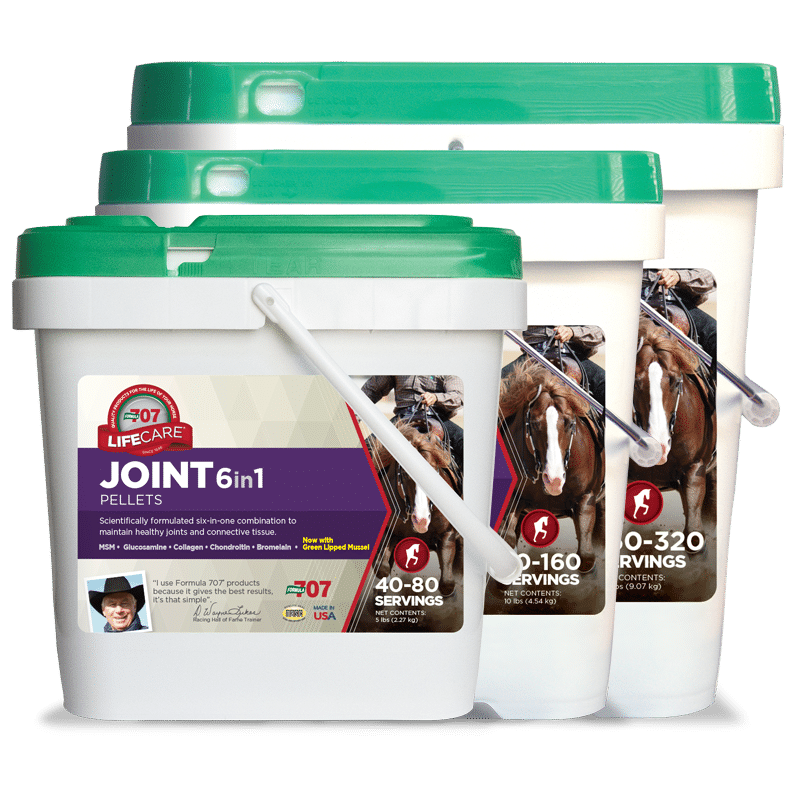 Joint 6 in 1 FARM & RANCH - Animal Care - Equine - Supplements - Joint & Pain Formula 707   